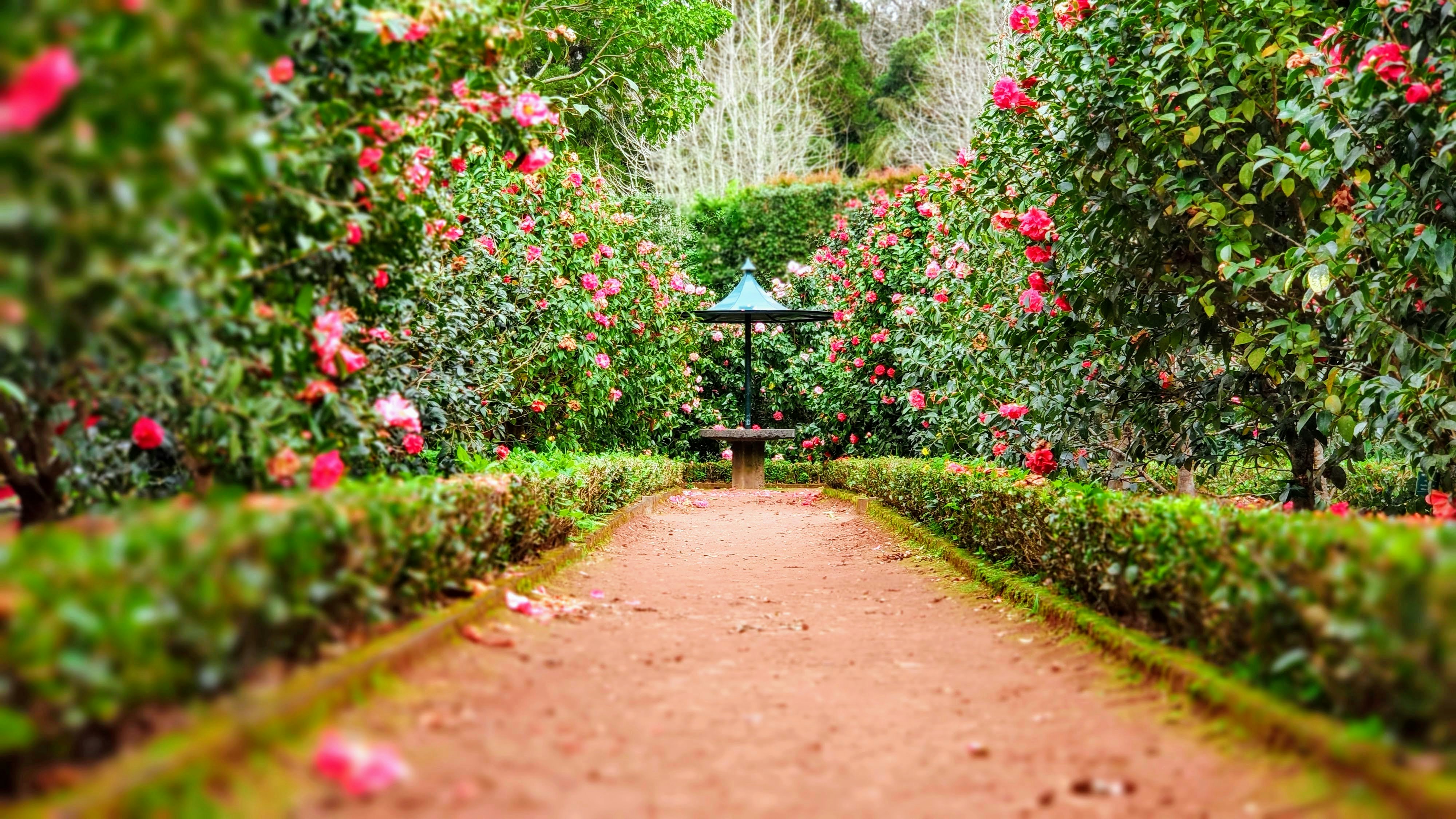 Mandore Gardens Jodhpur